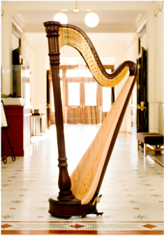 Florida Harpist Pedal Harp