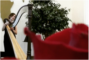 Tampa Wedding Ceremony Music by Harpist Kristen Elizabeth