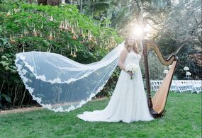 Tampa Wedding Photography by Photo Harp Weddings 